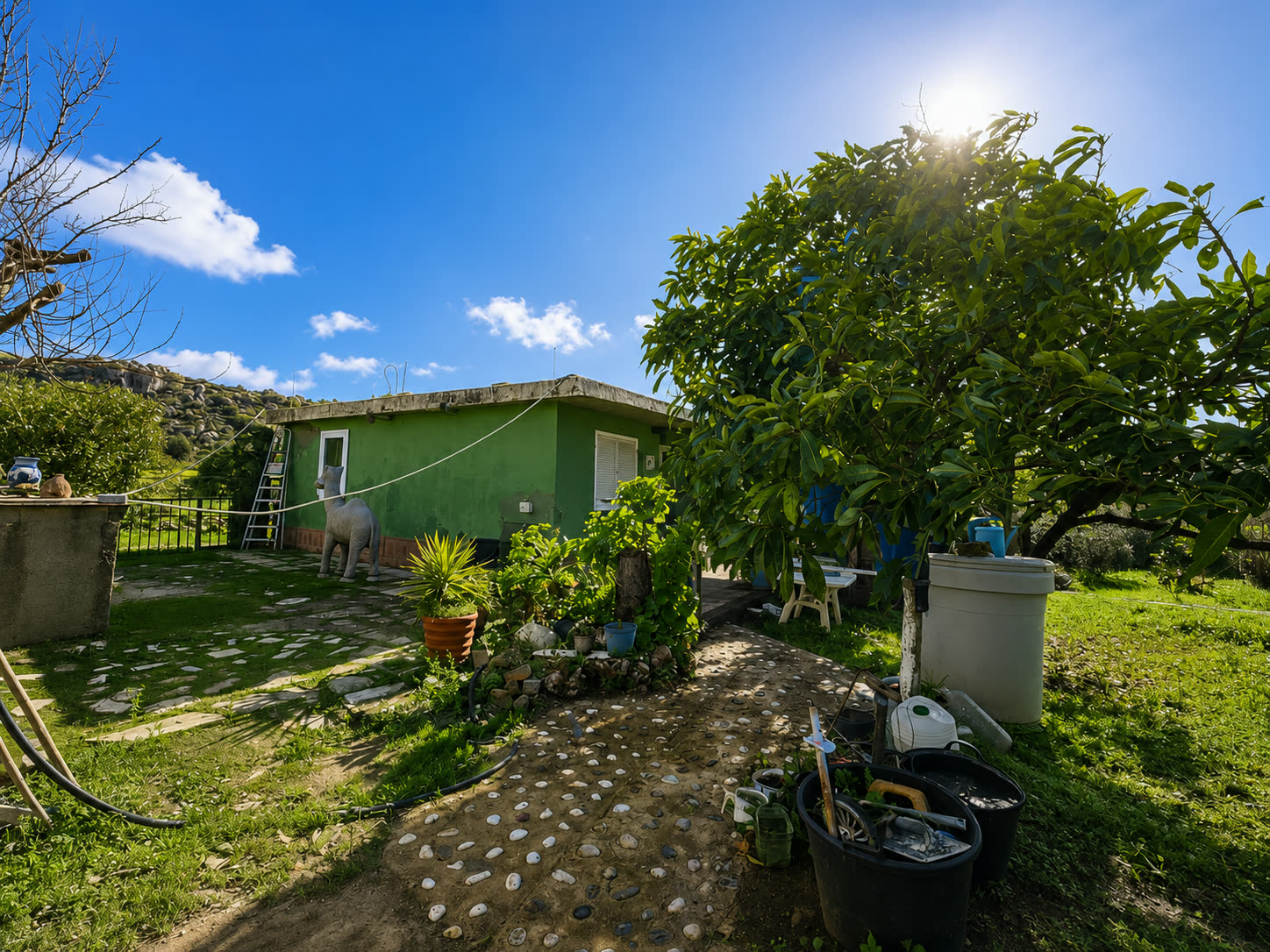 Exterior de la vivienda y jardín